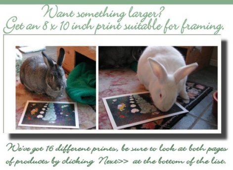 Prints